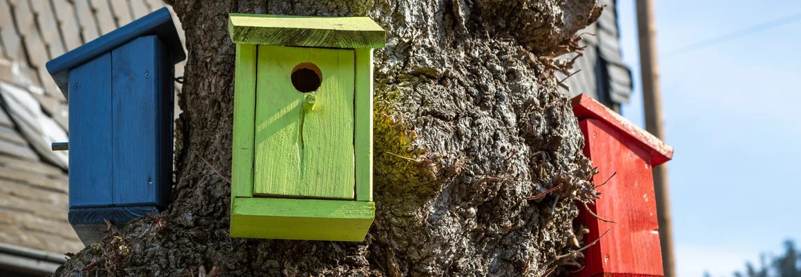 Drei bunte Vogelhäuser an einem Baumstamm